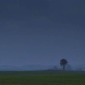 summer field from my memories