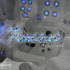 Finesse