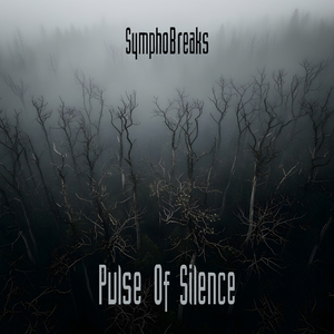 Pulse Of Silence