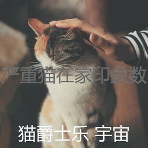温和猫梦想