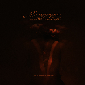 Я подарю тебе любовь