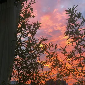 没有意外（钢伴版