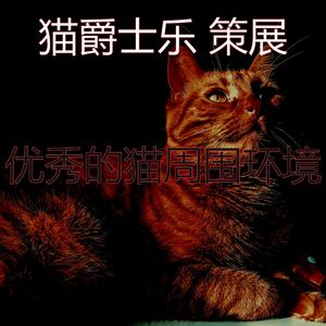有趣小猫情怀
