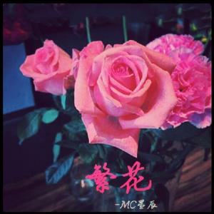 皇朝中我指鹿为马