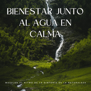 Armonía De Masaje A Orillas Del Lago