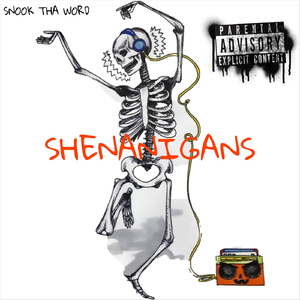 Shenanigans