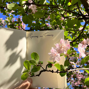 人间疾苦【热播温柔女声】