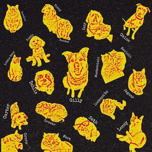 Dogs and Cats