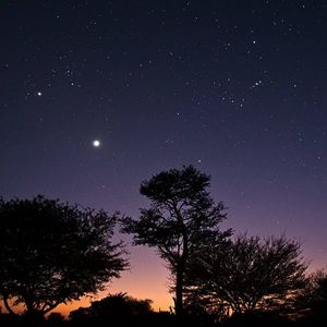 谁在意我流下的泪