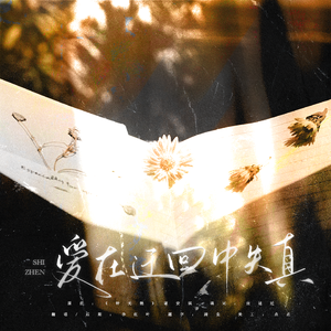 爱在迂回中失真——记岁坠