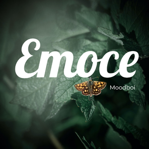 Emoce
