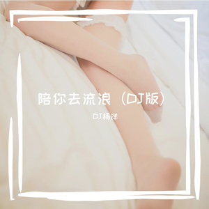 陪你去流浪（DJ版）