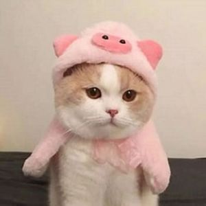 同桌的你