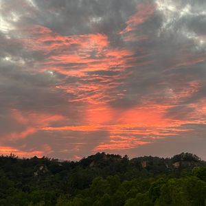 I Will Remenber The Way