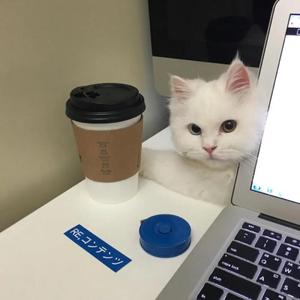 早安少女（翻自 鲤）