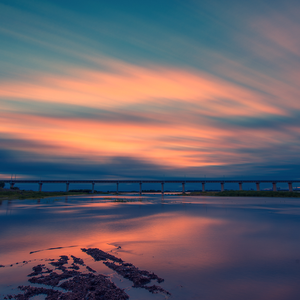 我好像在哪里见过你