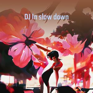 Dj in Slow Down