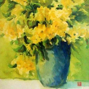 Allamanda (Country Version)