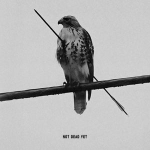 “低空飞行” Indie Bedroom Pop Type Beat