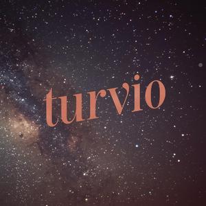 Turvio