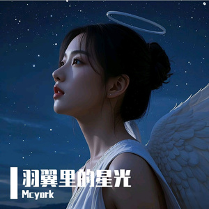 羽翼里的星光