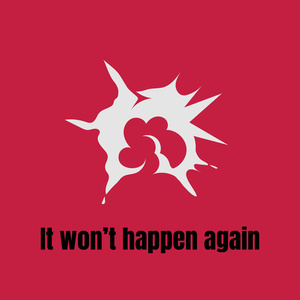 It won't happen again