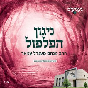 ניגון הפלפול