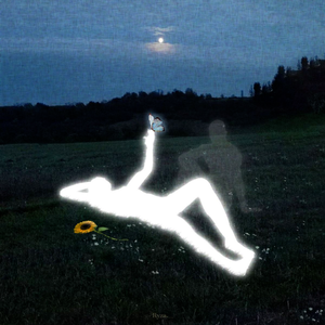 蟒（DJ陈桂琴 ）