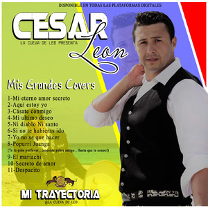 Si No Te Hubieras Ido (Cover)