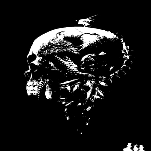 Inspect (Original Mix)