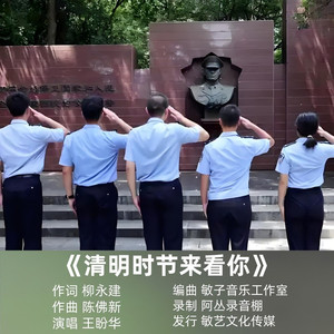 清明时节来看你