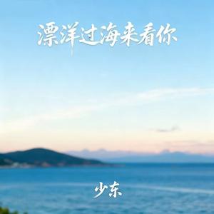 漂洋过海来看你 (伴奏)