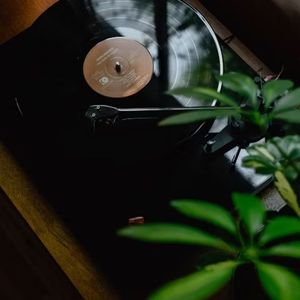 Flower girl (未命名花期)伴奏