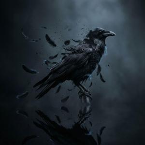 RAVEN