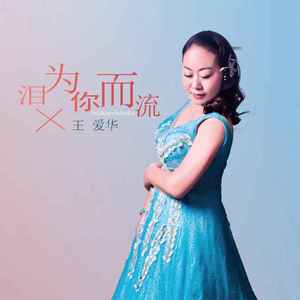 泪为你而流 (DJ默涵版)