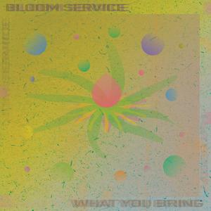 What You Bring