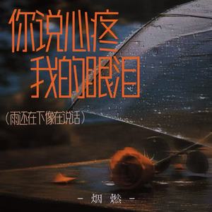 你说心疼我的眼泪（雨还在下像在说话）