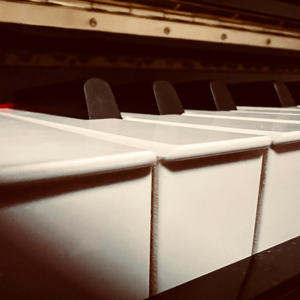 Unravel (Piano Cover) [Animenz版]