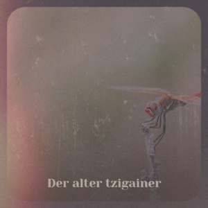 Der alter tzigainer