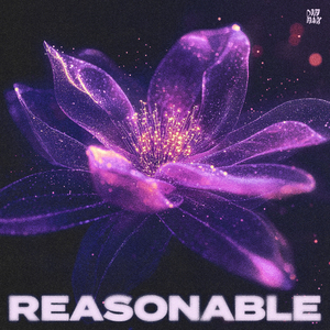 Reasonable (Extended Mix)