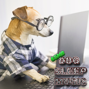 Dog Separation Anxiety Music