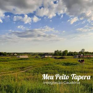 Meu Peito Tapera