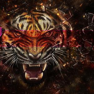 dubula (feat. sdumane, iprovovo, pro bvby & muvenda)