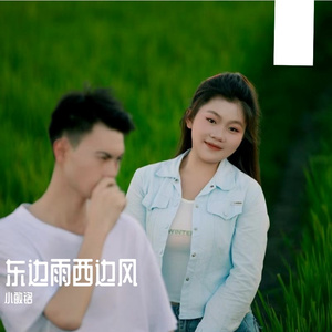 《东边雨西边风》流行 生活感悟 爆款 TOP500 DEMOS