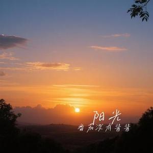 裂缝中的阳光