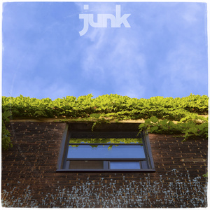 Junk