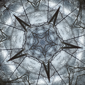 A necrotic ritual that summons the unholy