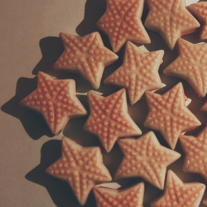 Hibernating Polar Bear