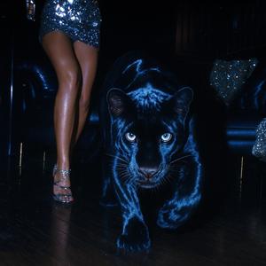 Packrunner Propoganda