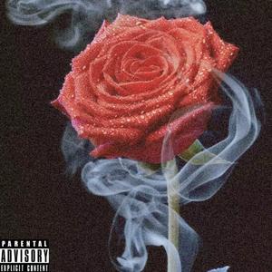 于导的自我修养freestyle